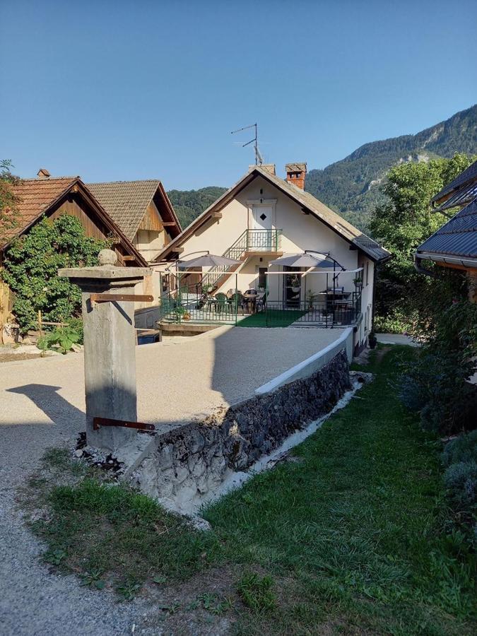 Holiday Home Alojzija ブレッド エクステリア 写真